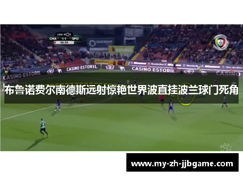 布鲁诺费尔南德斯远射惊艳世界波直挂波兰球门死角 布鲁诺费尔南德斯远射惊艳世界波直挂波兰球门死角